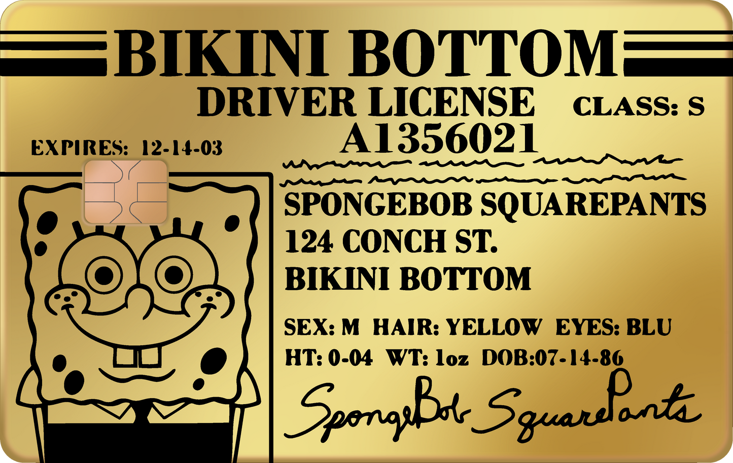 BOB ESPONJA
