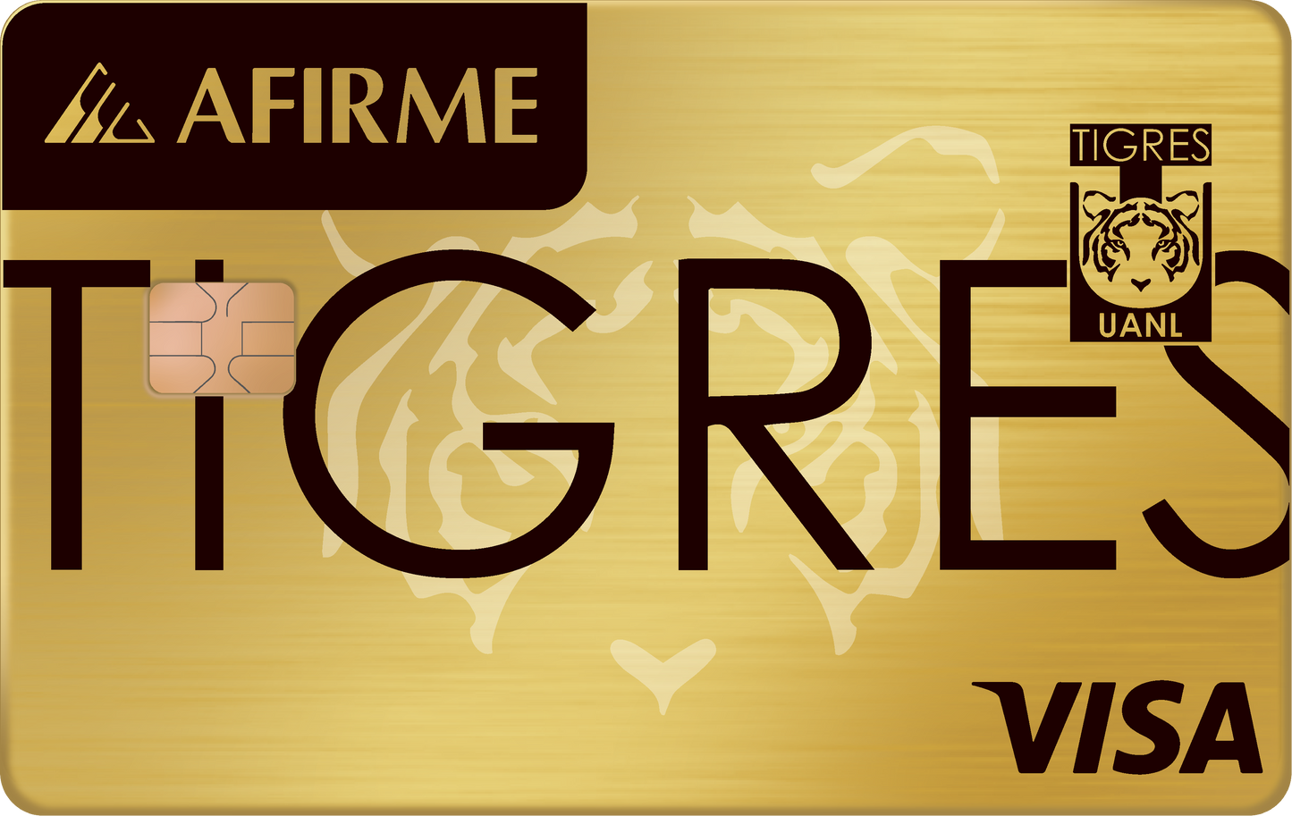 AFIRME TIGRES