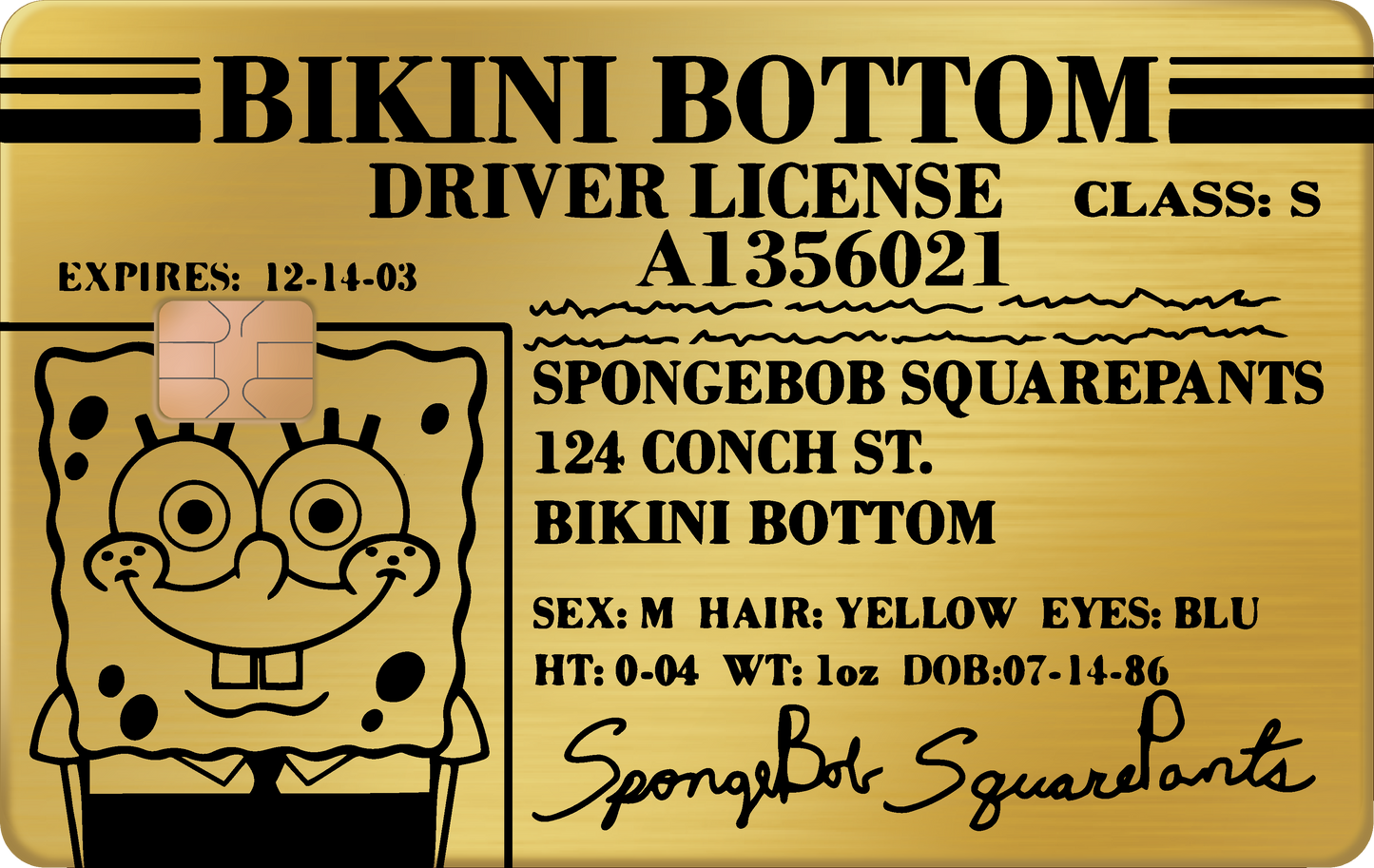 BOB ESPONJA