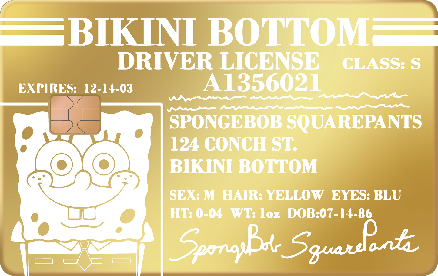 BOB ESPONJA