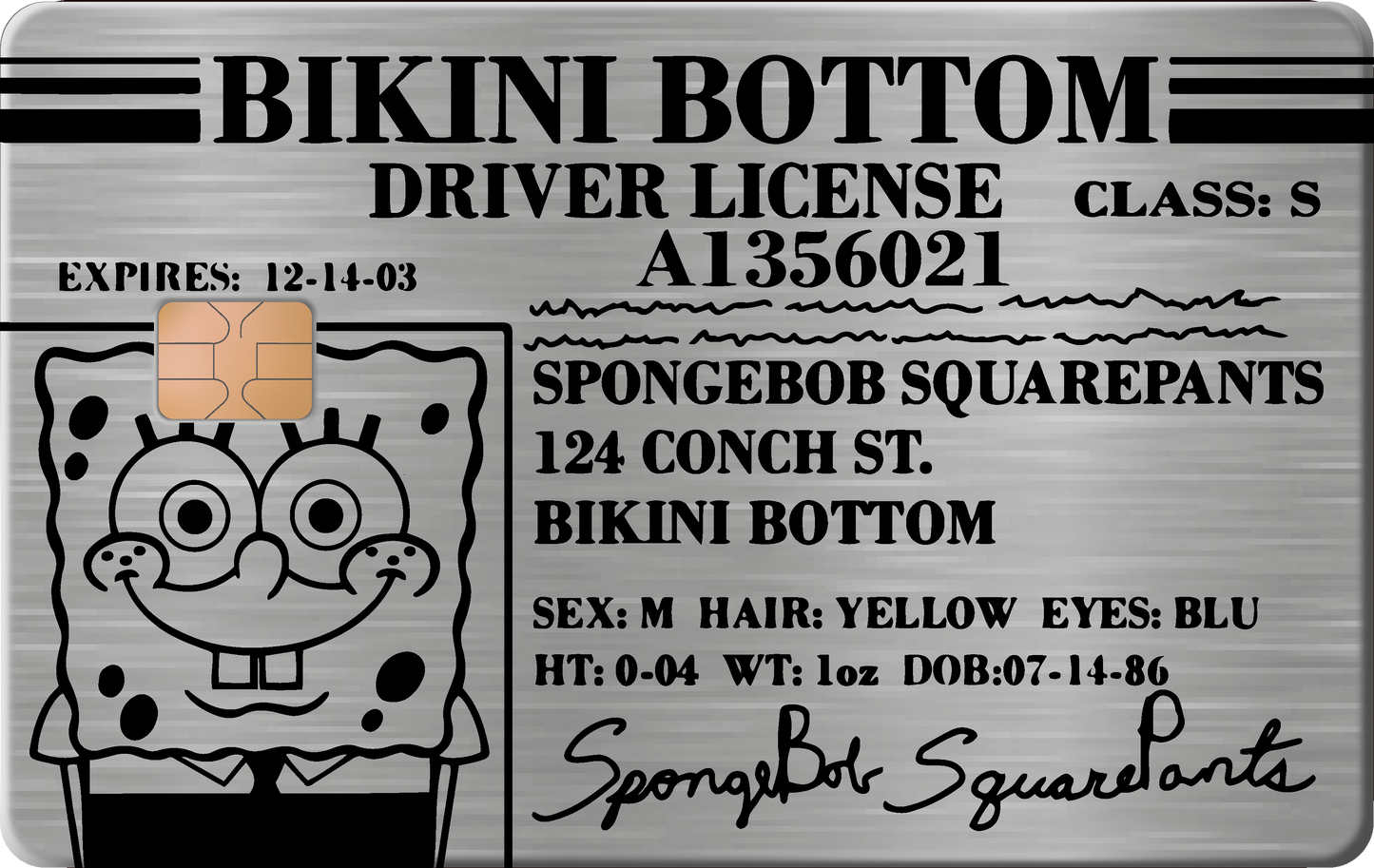 BOB ESPONJA